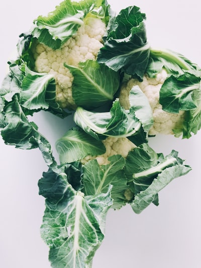 绿色和白色蔬菜表面的白色
